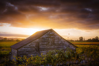 Northern California