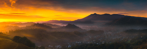 Sorich Mist