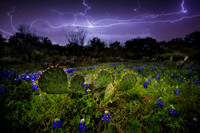Texas
